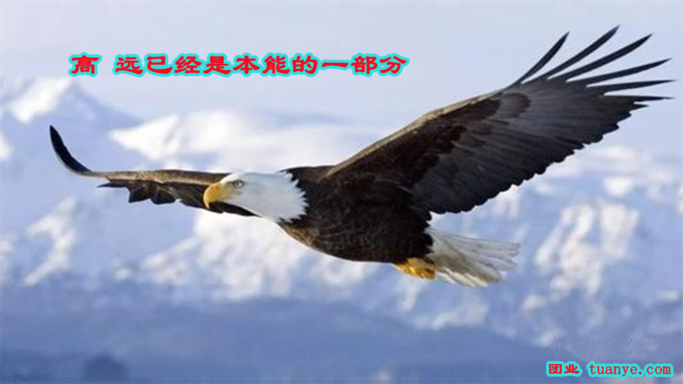 7竞争意识_副本.jpg