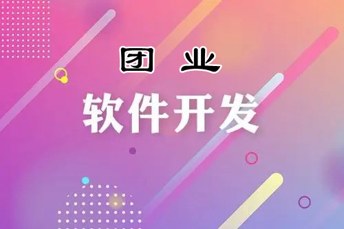软件定制开发