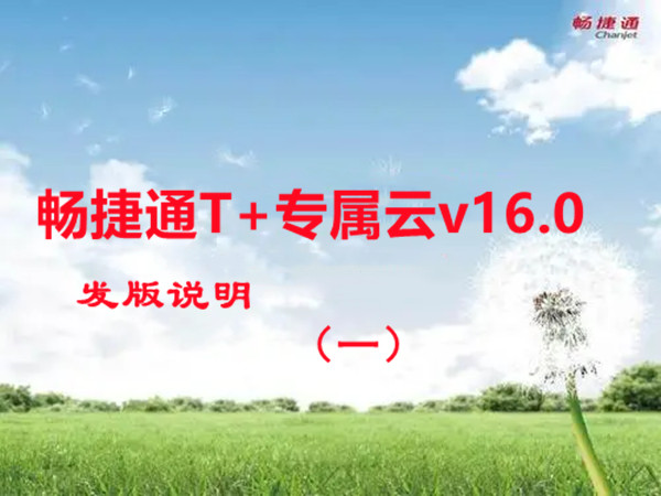 T+专属云 V16.0 版本发布 产品发版说明(一）