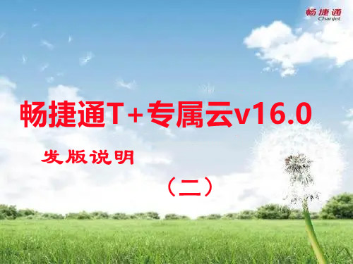 T+专属云 V16.0 版本发布 产品发版说明 （二）