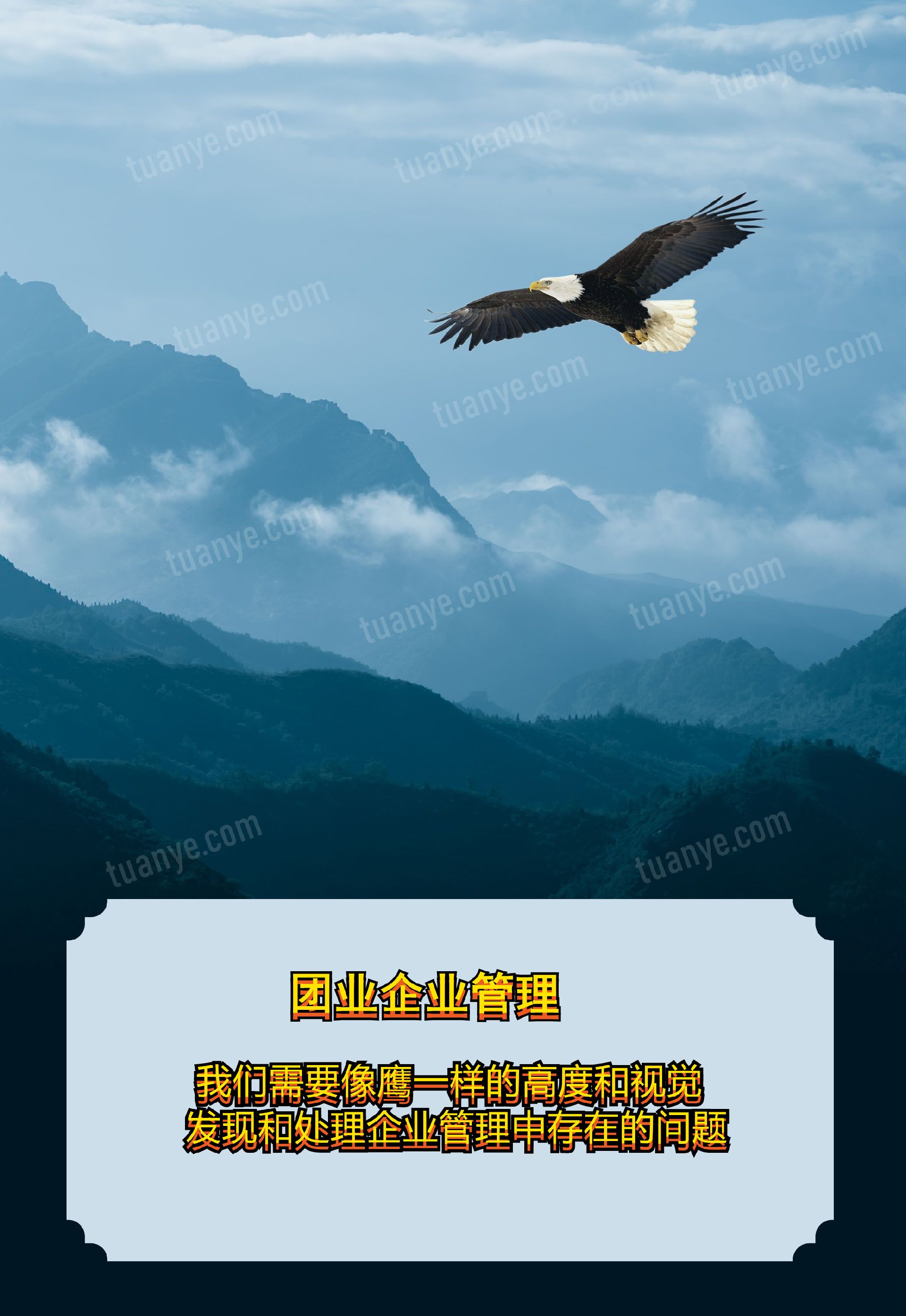 鹰1.jpg