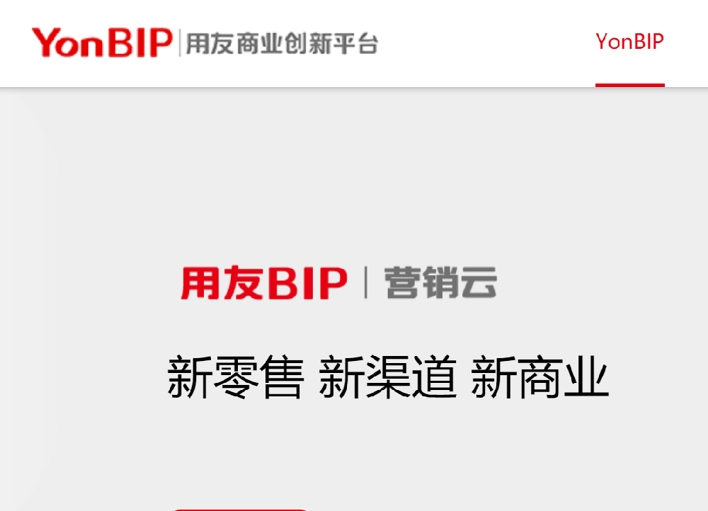 用友BIP营销云，用友YonSuite，用友YS
