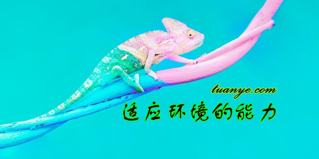 企业家成功6_副本.jpg