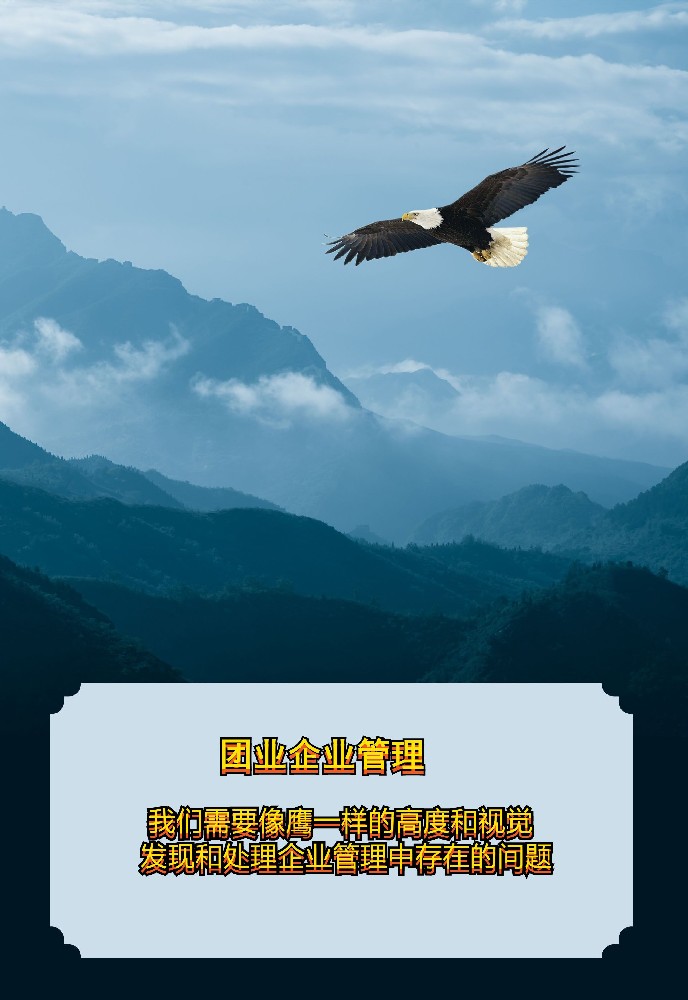 鹰98.jpg
